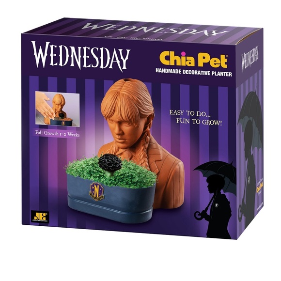 Chia Pet Wednesday w/ Seed Pack Decorative Pottery Planter Grow DIY Adams Family - Picture 2 of 5